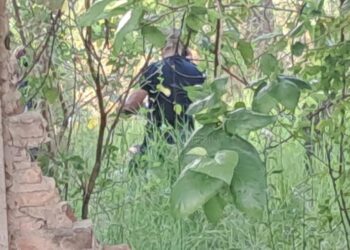 Mujer salió de un descampado denunciando que quisieron violarla