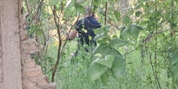 Mujer salió de un descampado denunciando que quisieron violarla