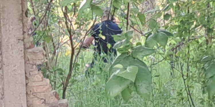 Mujer salió de un descampado denunciando que quisieron violarla