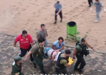 Adolescente cayó del Puente General Belgrano, impactó contra una plataforma y fue rescatado con vida