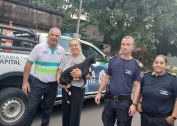 Denuncian un nuevo caso de abuso sexual a un perro a Corrientes