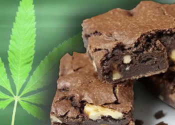 Córdoba: seis alumnos se intoxicaron tras comer “brownies locos” en la escuela