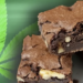 Córdoba: seis alumnos se intoxicaron tras comer “brownies locos” en la escuela