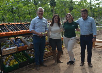 Corrientes avanza con una experiencia pionera de café de especialidad y proyecta su primera cosecha para 2027