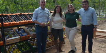 Corrientes avanza con una experiencia pionera de café de especialidad y proyecta su primera cosecha para 2027