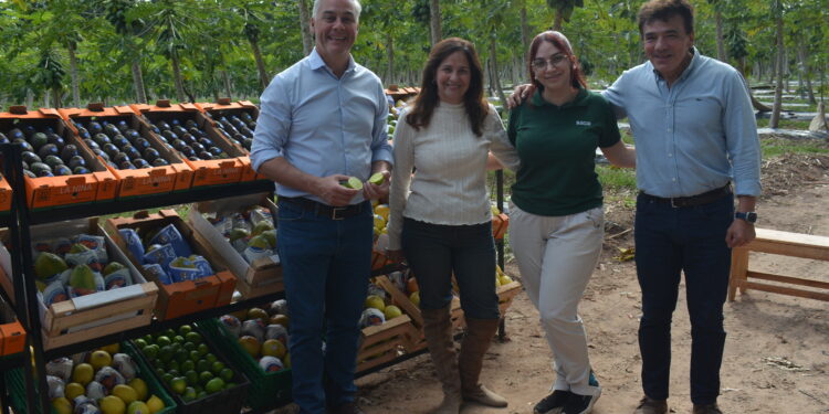 Corrientes avanza con una experiencia pionera de café de especialidad y proyecta su primera cosecha para 2027