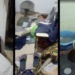 Violento robo a un jubilado en Monte Caseros: le fracturaron un brazo y escaparon con $3,5 millones